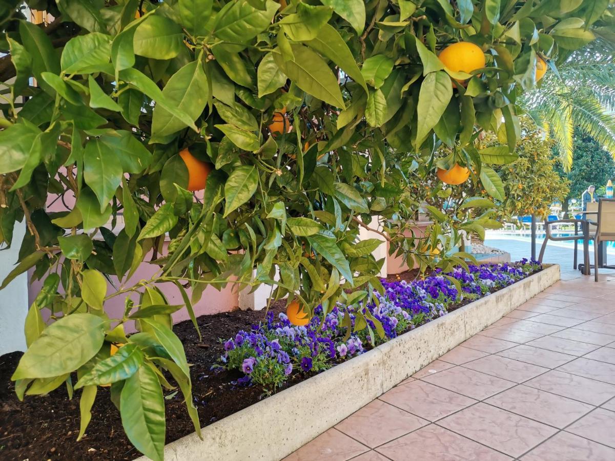 Sunlake Hotel Riva del Garda Dış mekan fotoğraf